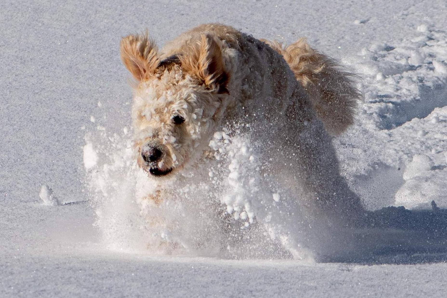 Doodle'S Amazing Chalet -Walensee - Flumserberg - Churfirsten - Heidiland - Pool - Sauna Mols Bagian luar foto