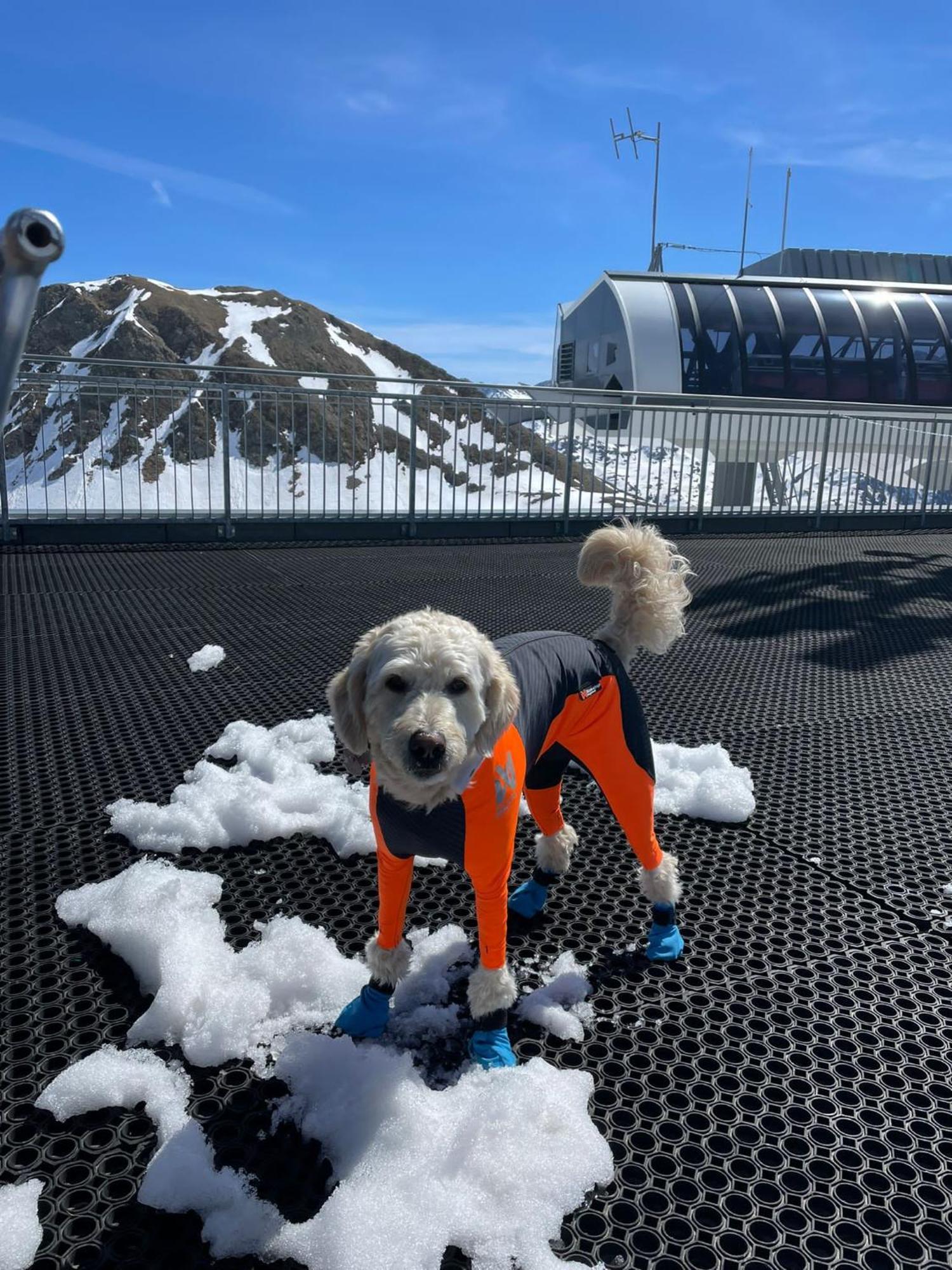 Doodle'S Amazing Chalet -Walensee - Flumserberg - Churfirsten - Heidiland - Pool - Sauna Mols Bagian luar foto